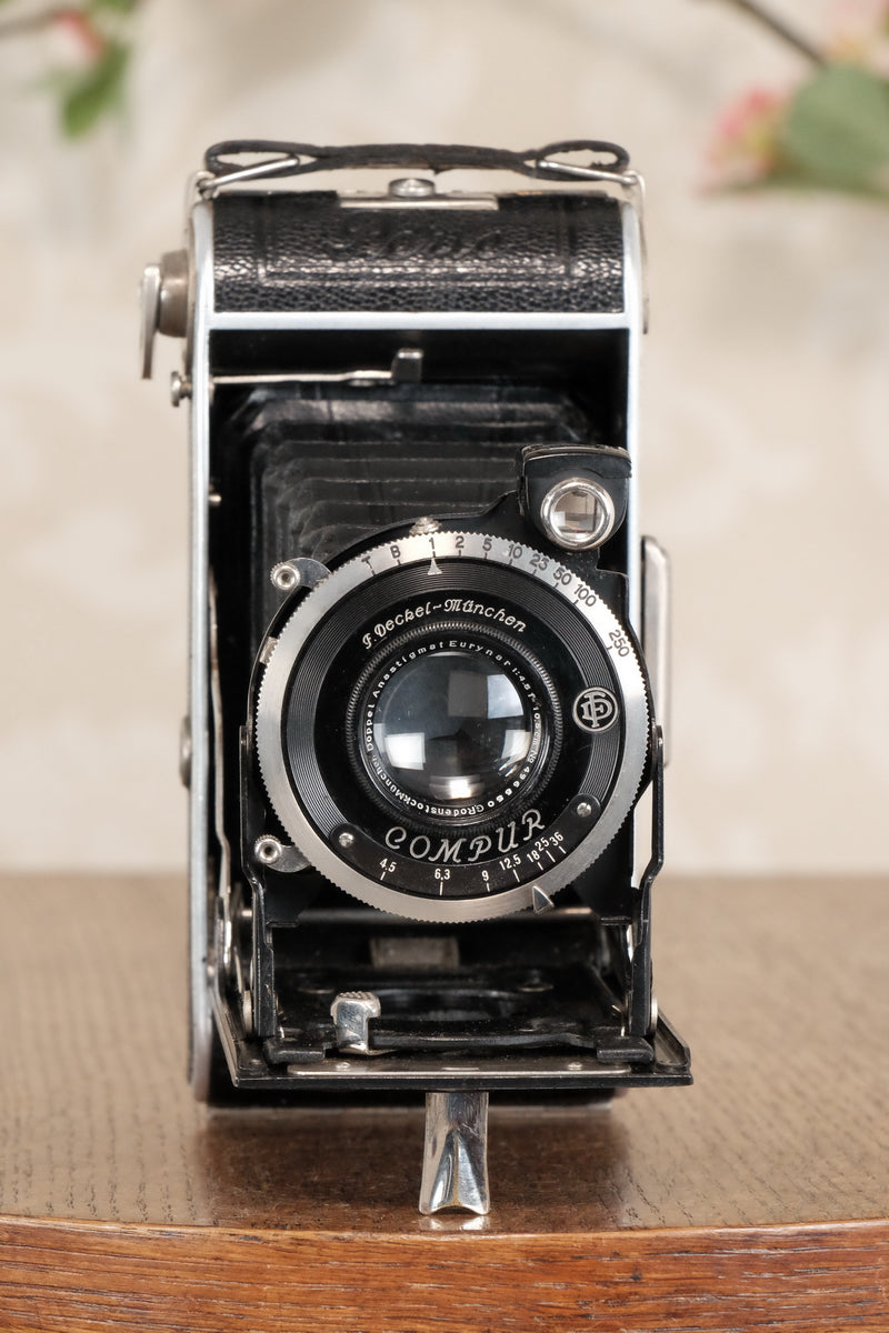 Superb! 1934 Welta Perle 6x9 Medium Format Folder, Freshly Serviced, CLA'd! - Welta- Petrakla Classic Cameras