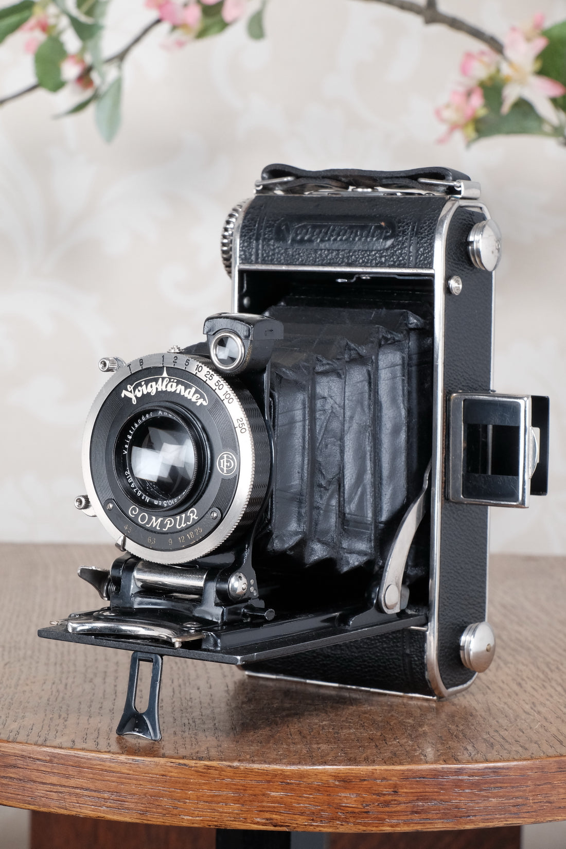 Superb! 1935 Voigtlander Inos II 6x9 Folder. CLA’d, Freshly Serviced!