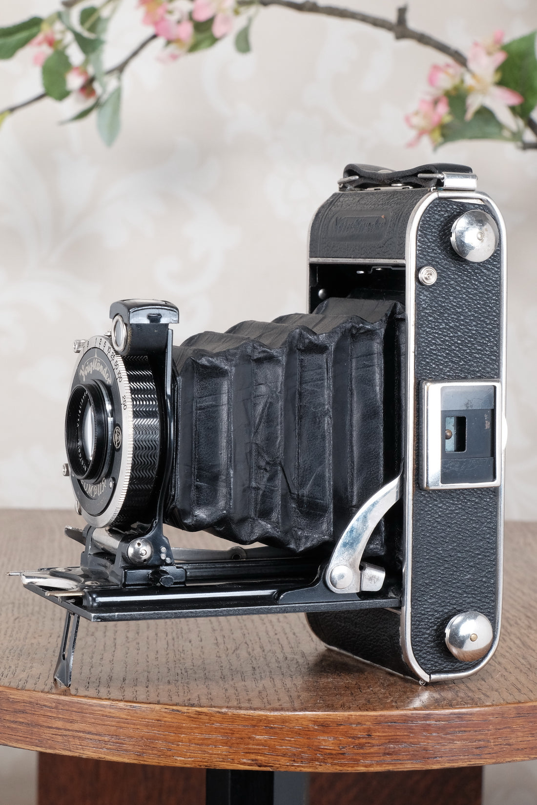 Superb! 1935 Voigtlander Inos II 6x9 Folder. CLA’d, Freshly Serviced!