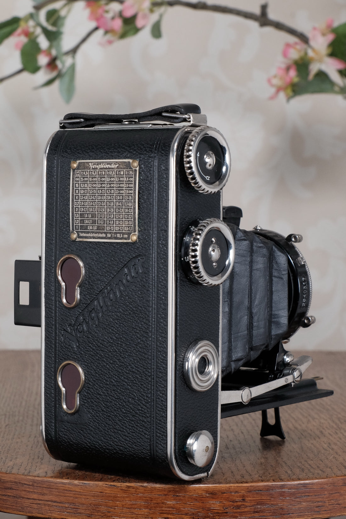 Superb! 1935 Voigtlander Inos II 6x9 Folder. CLA’d, Freshly Serviced!