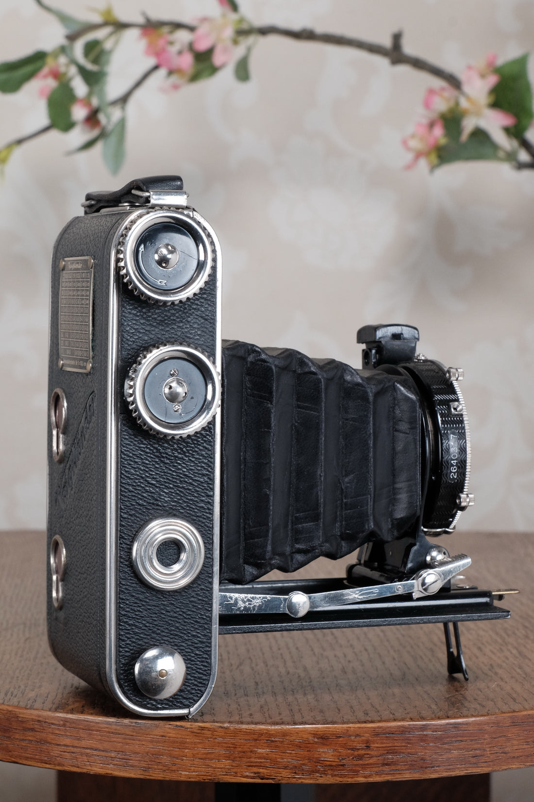 Superb! 1935 Voigtlander Inos II 6x9 Folder. CLA’d, Freshly Serviced!