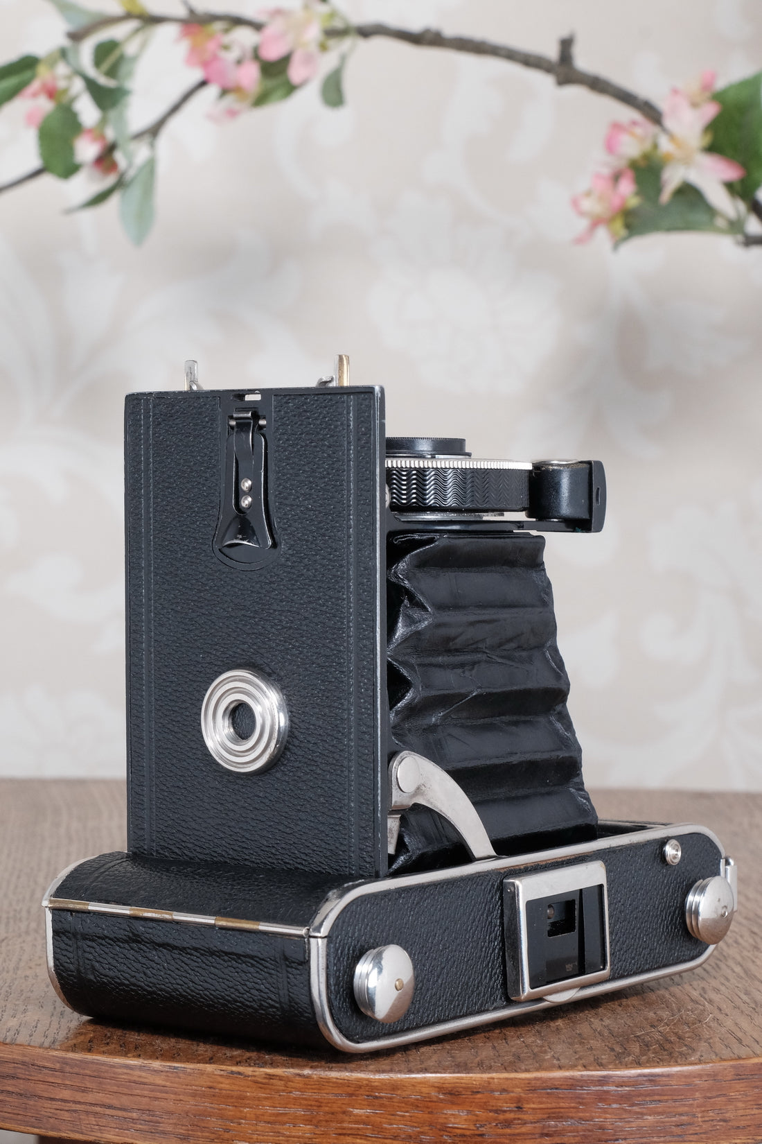 Superb! 1935 Voigtlander Inos II 6x9 Folder. CLA’d, Freshly Serviced!