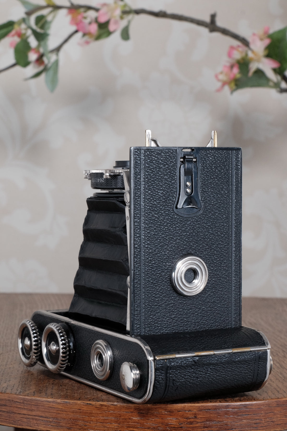 Superb! 1935 Voigtlander Inos II 6x9 Folder. CLA’d, Freshly Serviced!