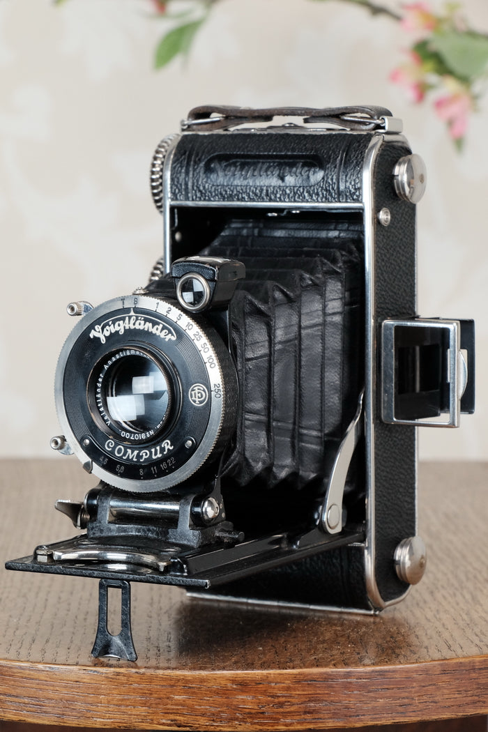 1935 Voigtlander Inos II 6x9 Folder. CLA’d, Freshly Serviced! - Voigtlander- Petrakla Classic Cameras