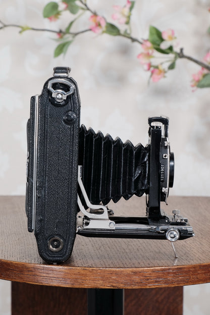 1931 ZEISS-IKON ICARETTE, 6x9 German folding camera with Carl Zeiss Tessar lens. Freshly Serviced, CLA’d - Zeiss-Ikon- Petrakla Classic Cameras