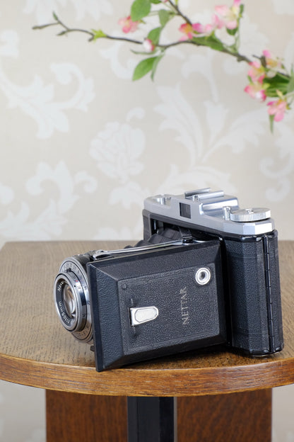 Superb! 1955 6x9 Zeiss-Ikon Nettar , CLA'd, Freshly Serviced! - Zeiss-Ikon- Petrakla Classic Cameras