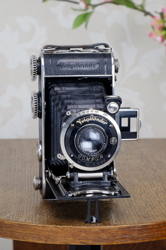 1934 Voigtlander Inos II 6x9 Folder, with Heliar lens! CLA’d, Freshly Serviced! - Voigtlander- Petrakla Classic Cameras