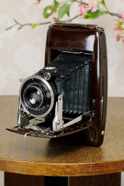 SUPERB! Rare 1935 Ebner 6x9 Brown Bakelite Art Deco Camera, CLA‘d - Ebner- Petrakla Classic Cameras