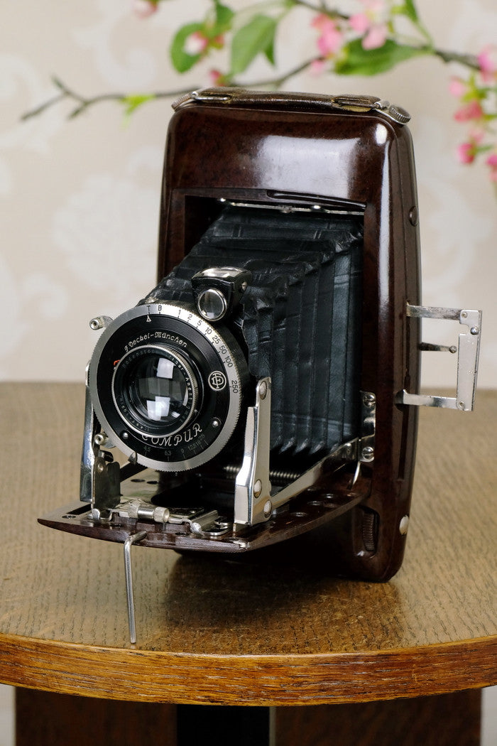 SUPERB! Rare 1935 Ebner 6x9 Brown Bakelite Art Deco Camera, CLA‘d - Ebner- Petrakla Classic Cameras