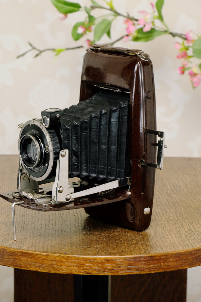 SUPERB! Rare 1935 Ebner 6x9 Brown Bakelite Art Deco Camera, CLA‘d - Ebner- Petrakla Classic Cameras