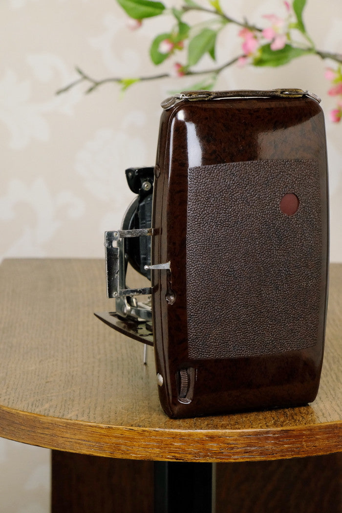 SUPERB! Rare 1935 Ebner 6x9 Brown Bakelite Art Deco Camera, CLA‘d - Ebner- Petrakla Classic Cameras