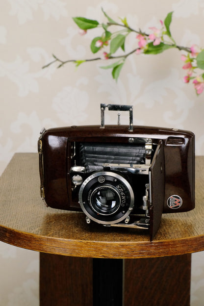 SUPERB! Rare 1935 Ebner 6x9 Brown Bakelite Art Deco Camera, CLA‘d - Ebner- Petrakla Classic Cameras