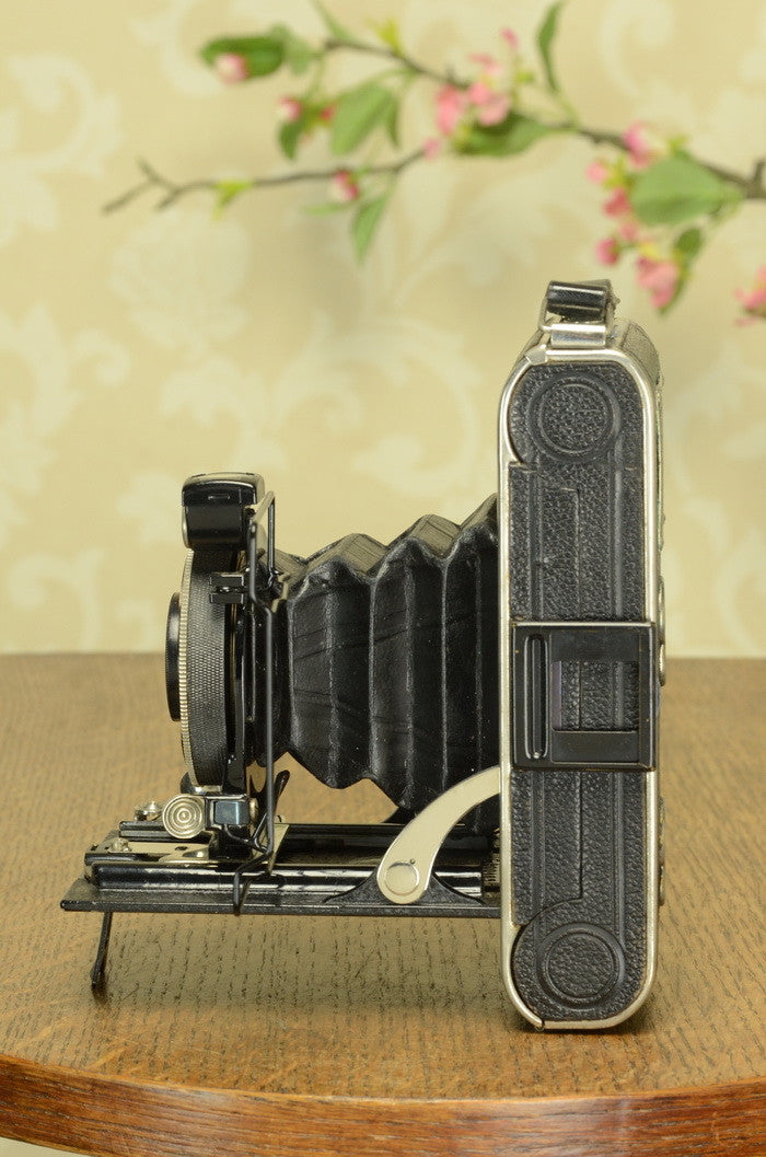 SUPERB!  1931 Prewar Voigtlander 6x9 Folder with HELIAR lens. FRESHLY SERVICED! - Voigtlander- Petrakla Classic Cameras