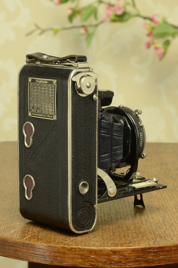 SUPERB!  1931 Prewar Voigtlander 6x9 Folder with HELIAR lens. FRESHLY SERVICED! - Voigtlander- Petrakla Classic Cameras