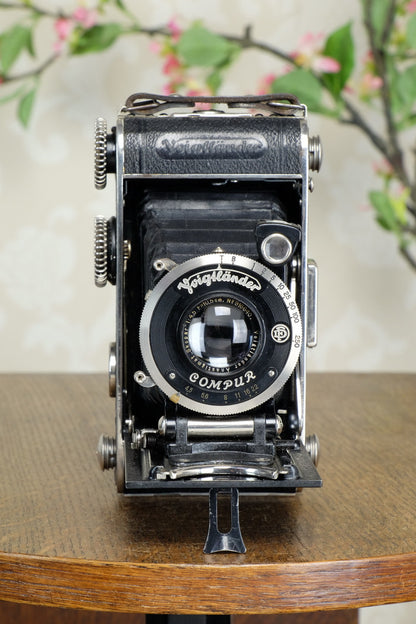 1932 Voigtlander Inos II 6x9 Folder, CLA’d, FRESHLY SERVICED! - Voigtlander- Petrakla Classic Cameras