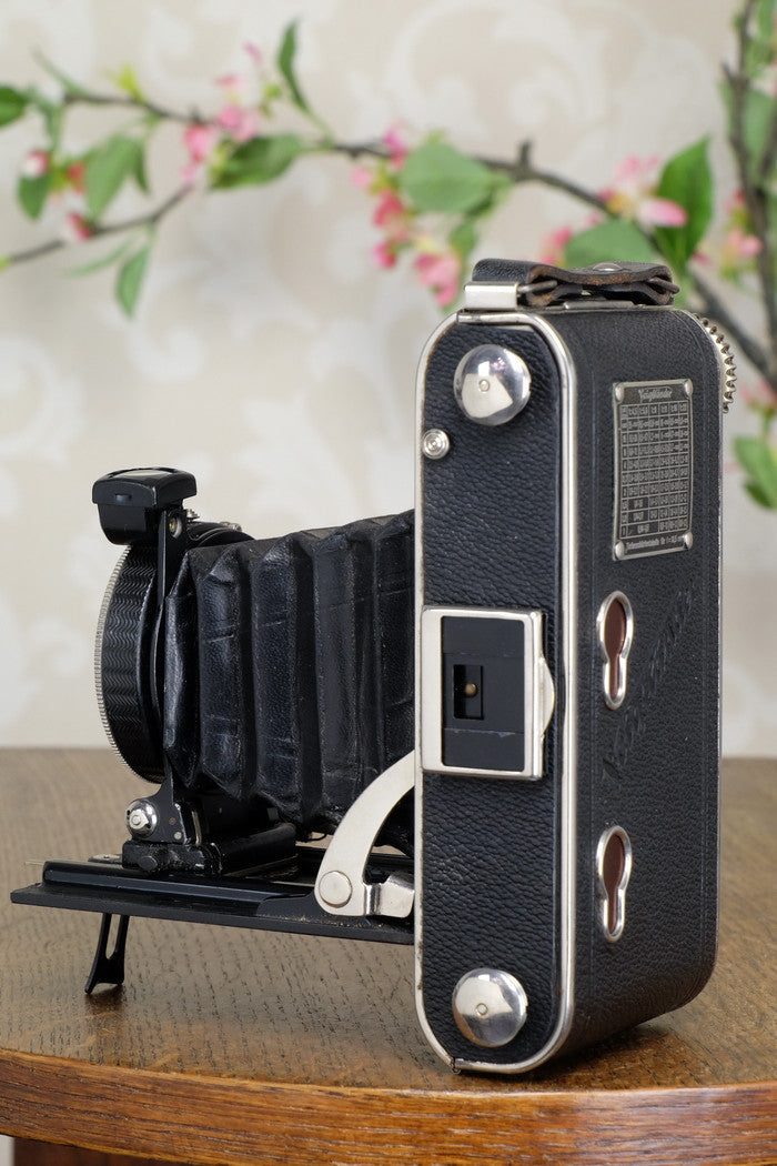 1932 Voigtlander Inos II 6x9 Folder, CLA’d, FRESHLY SERVICED! - Voigtlander- Petrakla Classic Cameras