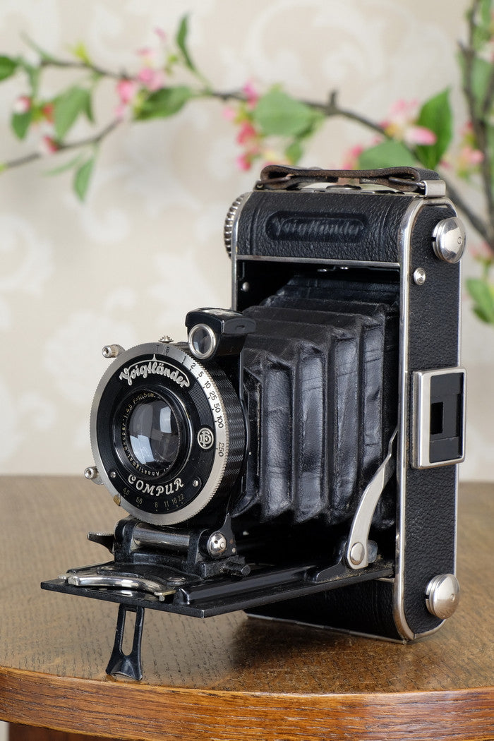 1932 Voigtlander Inos II 6x9 Folder, CLA’d, FRESHLY SERVICED! - Voigtlander- Petrakla Classic Cameras