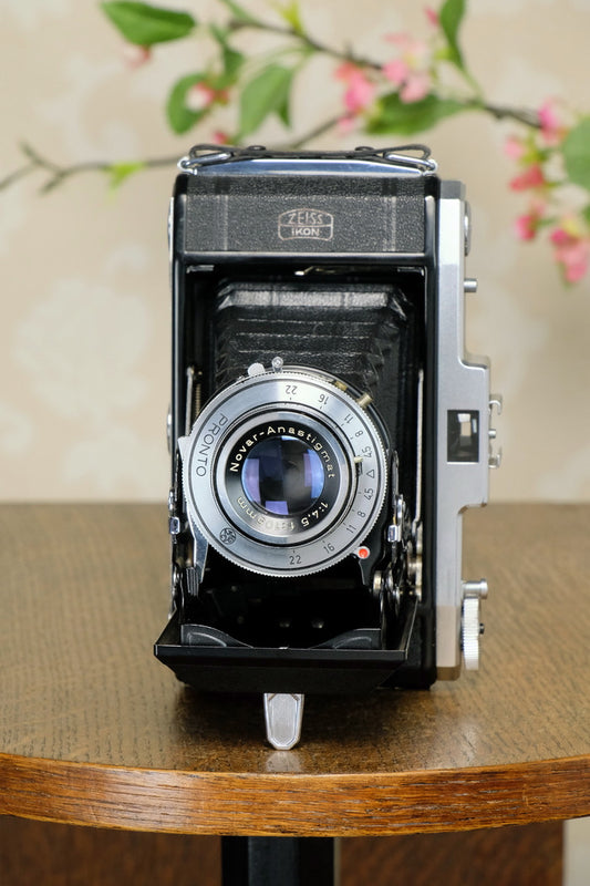 SUPERB! 1955 6x9 Zeiss-Ikon Nettar FRESHLY SERVCED! - Zeiss-Ikon- Petrakla Classic Cameras