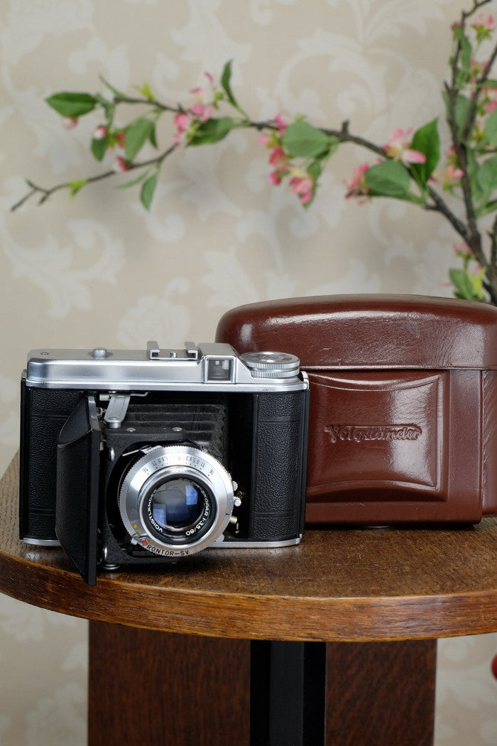 Near Mint! 1952 6x6 Voigtlander Perkeo with desirable Coated Color-Skopar Lens, CLA’d, Freshly Serviced - Voigtlander- Petrakla Classic Cameras