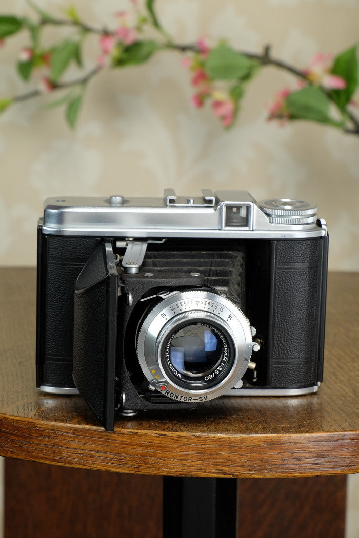 Near Mint! 1952 6x6 Voigtlander Perkeo with desirable Coated Color-Skopar Lens, CLA’d, Freshly Serviced - Voigtlander- Petrakla Classic Cameras