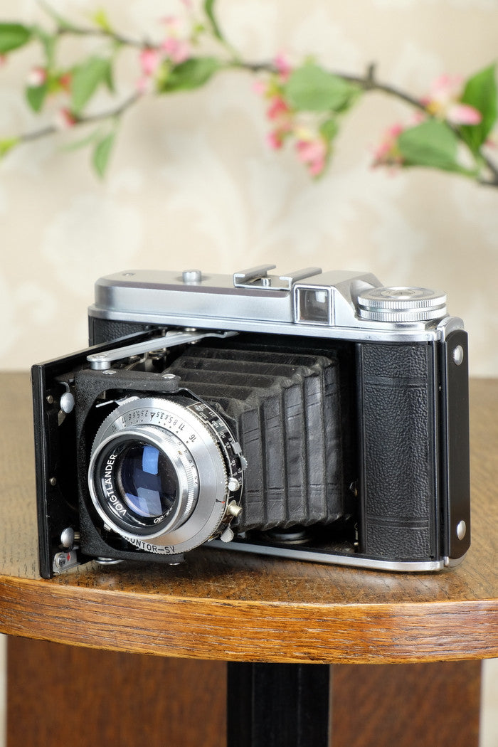 Near Mint! 1952 6x6 Voigtlander Perkeo with desirable Coated Color-Skopar Lens, CLA’d, Freshly Serviced - Voigtlander- Petrakla Classic Cameras