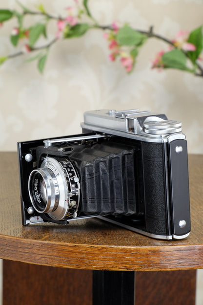 Near Mint! 1952 6x6 Voigtlander Perkeo with desirable Coated Color-Skopar Lens, CLA’d, Freshly Serviced - Voigtlander- Petrakla Classic Cameras